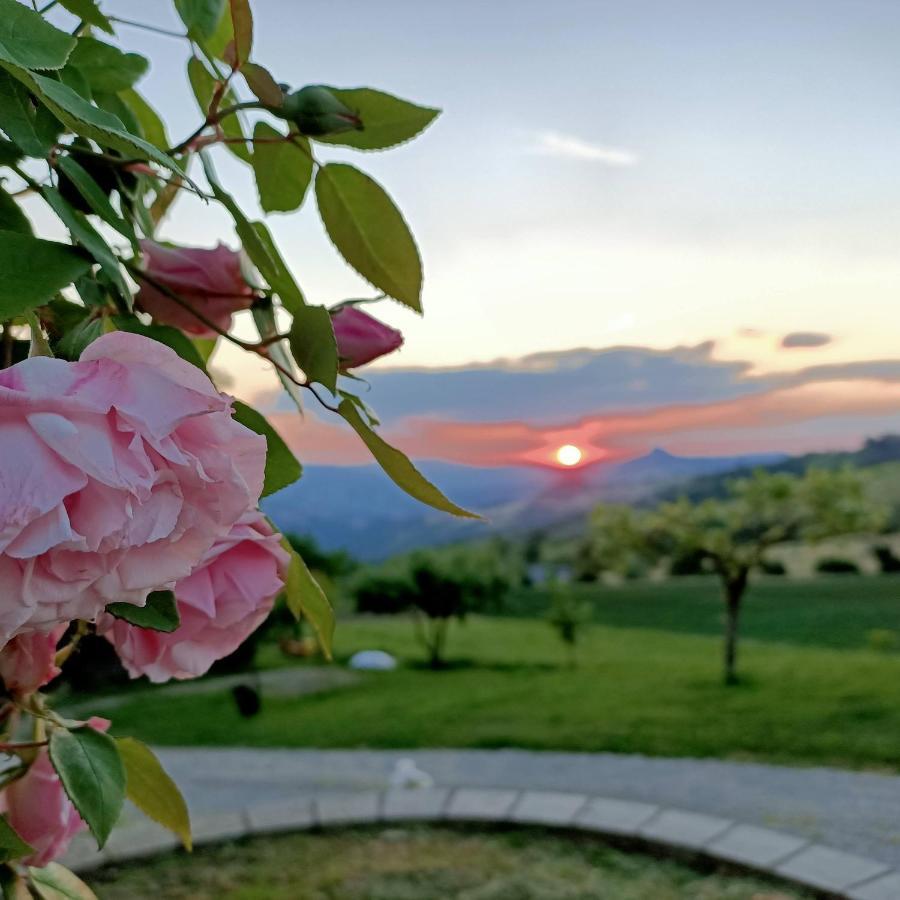 Agriturismo La Casetta - Ospitalita Rurale Familiare Montese Exterior photo